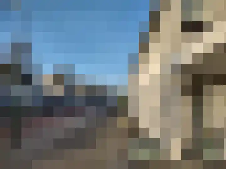 De Doelen 10 Boxtel thumbnail 51