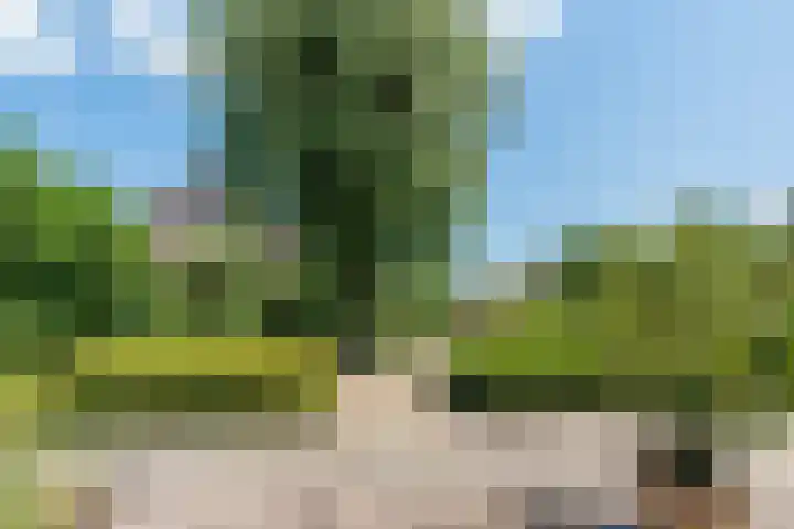 de Doelen 11 Geldrop thumbnail 29