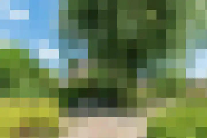 de Doelen 11 Geldrop thumbnail 30