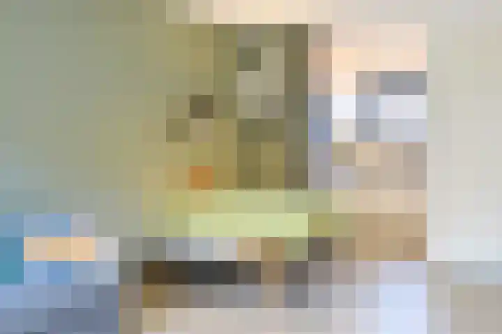 de Doelen 12 Geldrop thumbnail 17