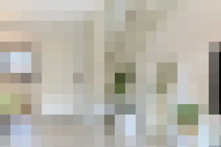 de Doelen 12 Geldrop thumbnail 18