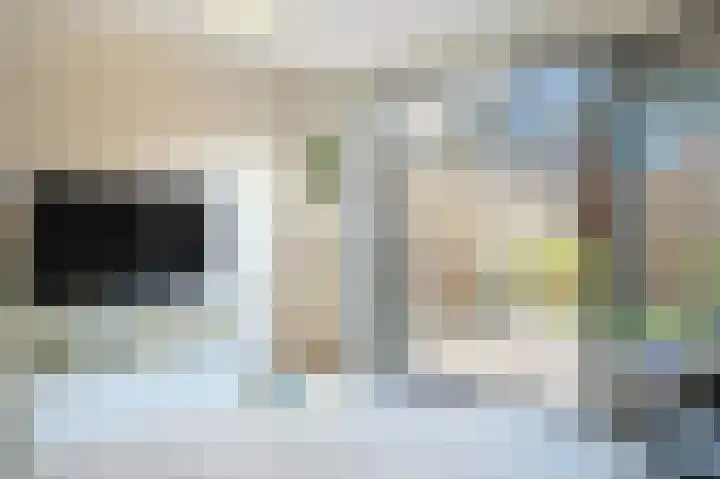 de Doelen 12 Geldrop thumbnail 26
