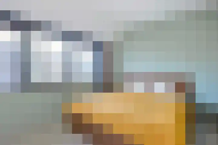 de Doelen 12 Geldrop thumbnail 29