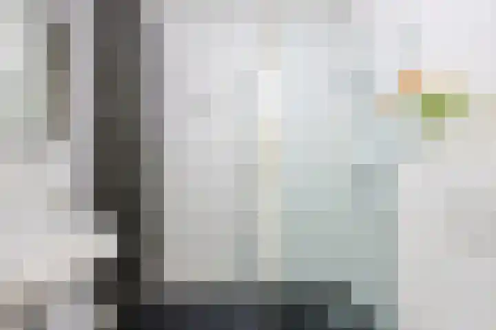 de Doelen 12 Geldrop thumbnail 38