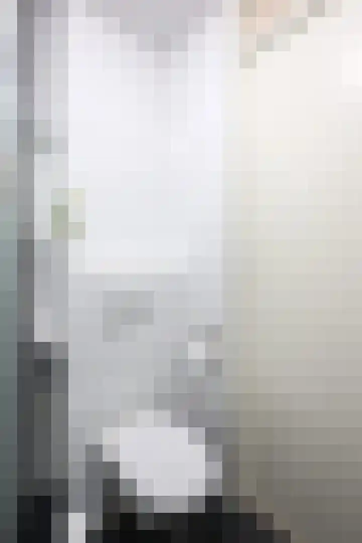 de Doelen 12 Geldrop thumbnail 41