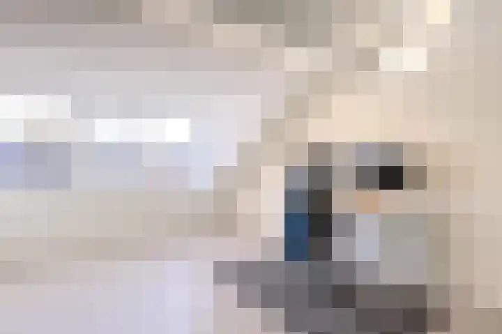 de Doelen 12 Geldrop thumbnail 42