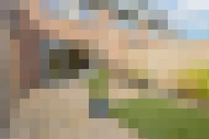 de Doelen 12 Geldrop thumbnail 46