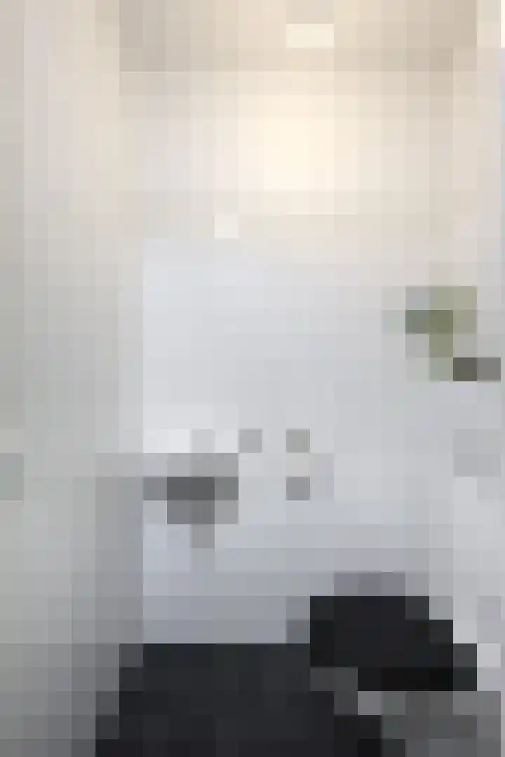 de Doelen 12 Geldrop thumbnail 9
