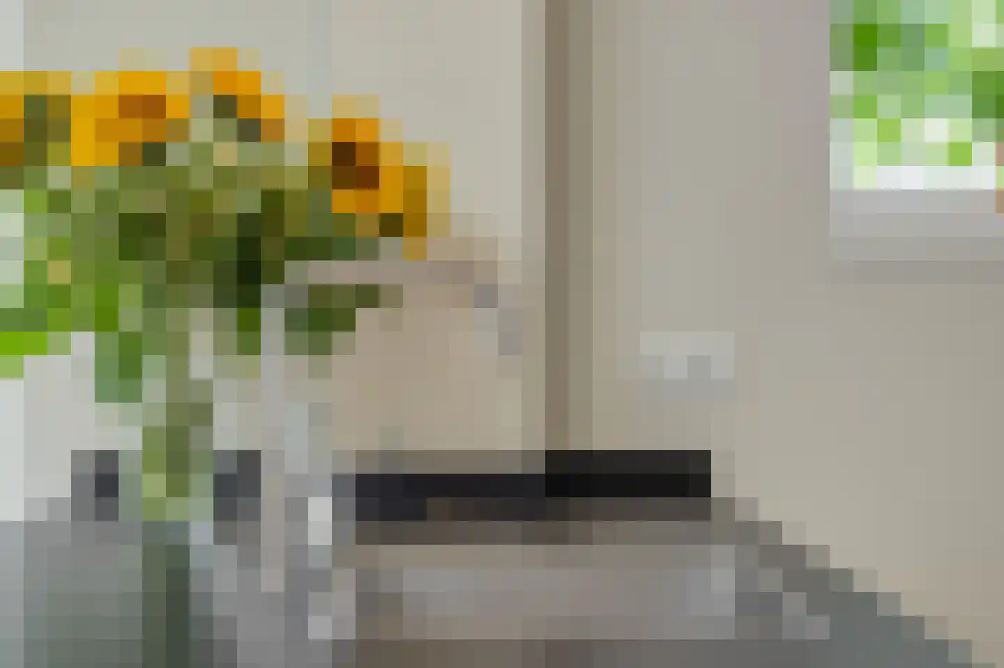 De Doelen 15 Boxtel thumbnail 15