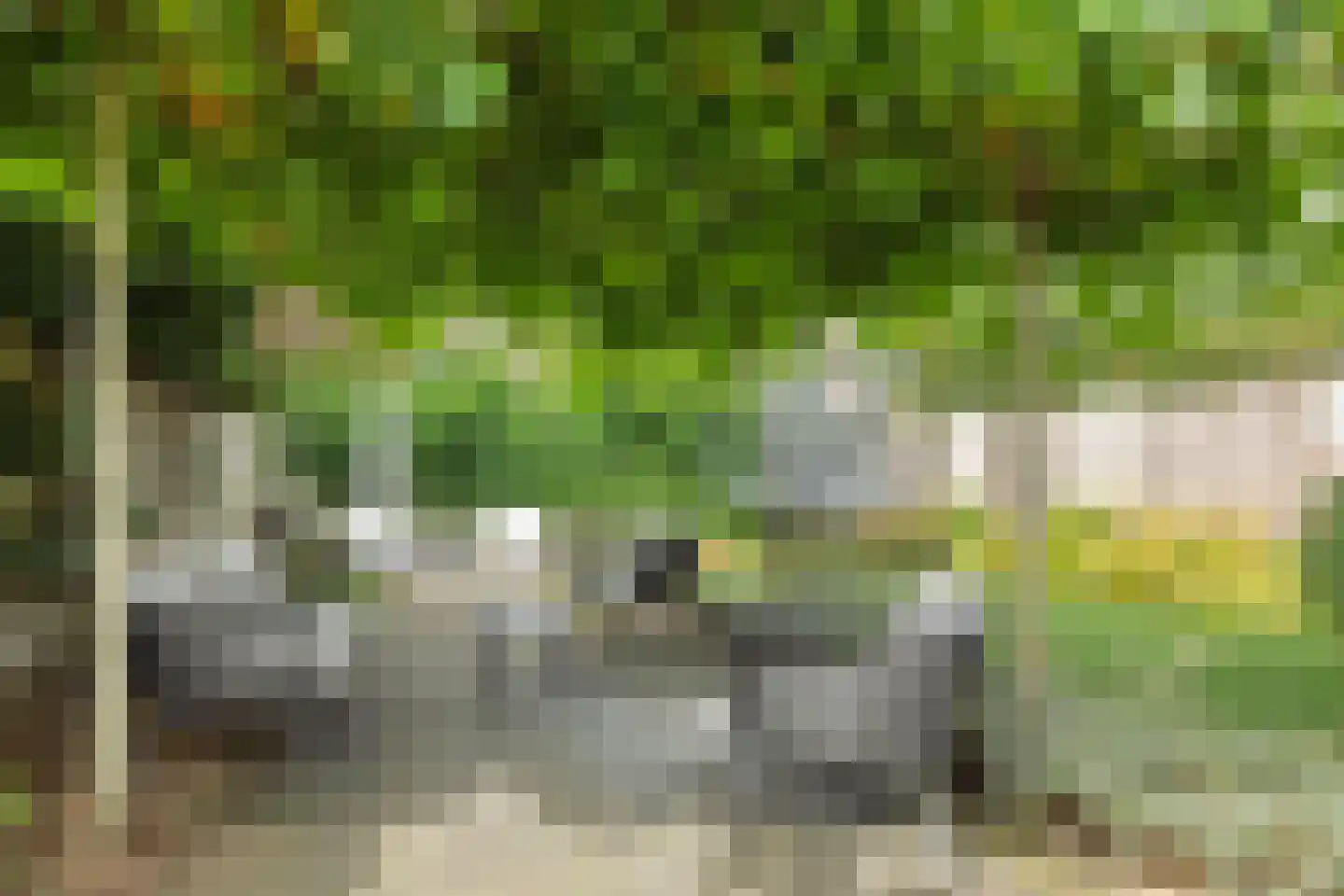 De Doelen 15 Boxtel thumbnail 38