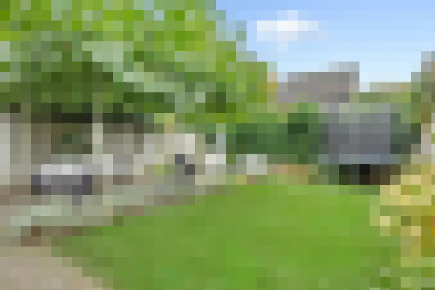 De Doelen 15 Boxtel thumbnail 39