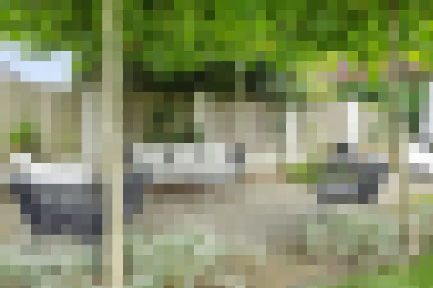 De Doelen 15 Boxtel thumbnail 40