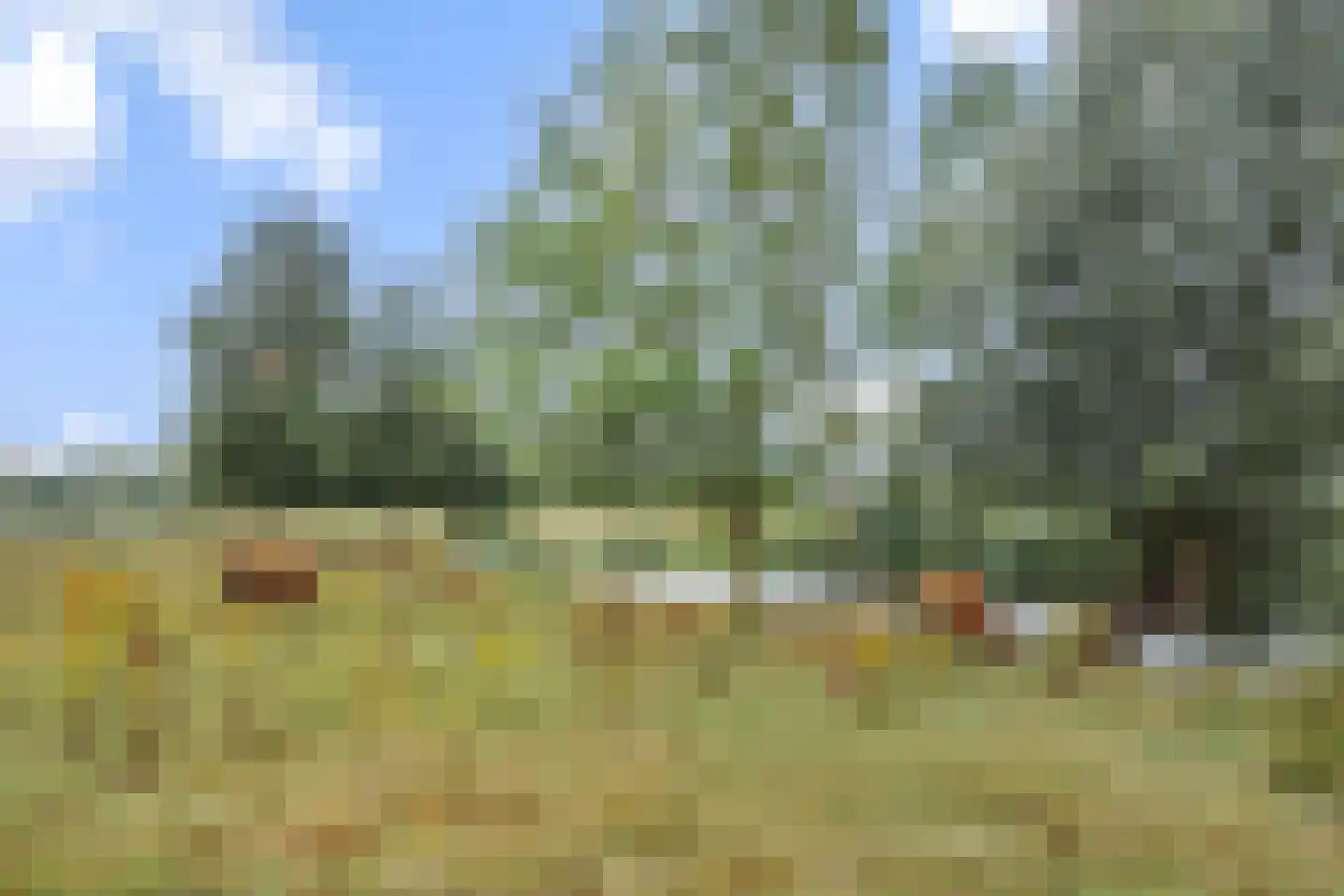 De Doelen 15 Boxtel thumbnail 51