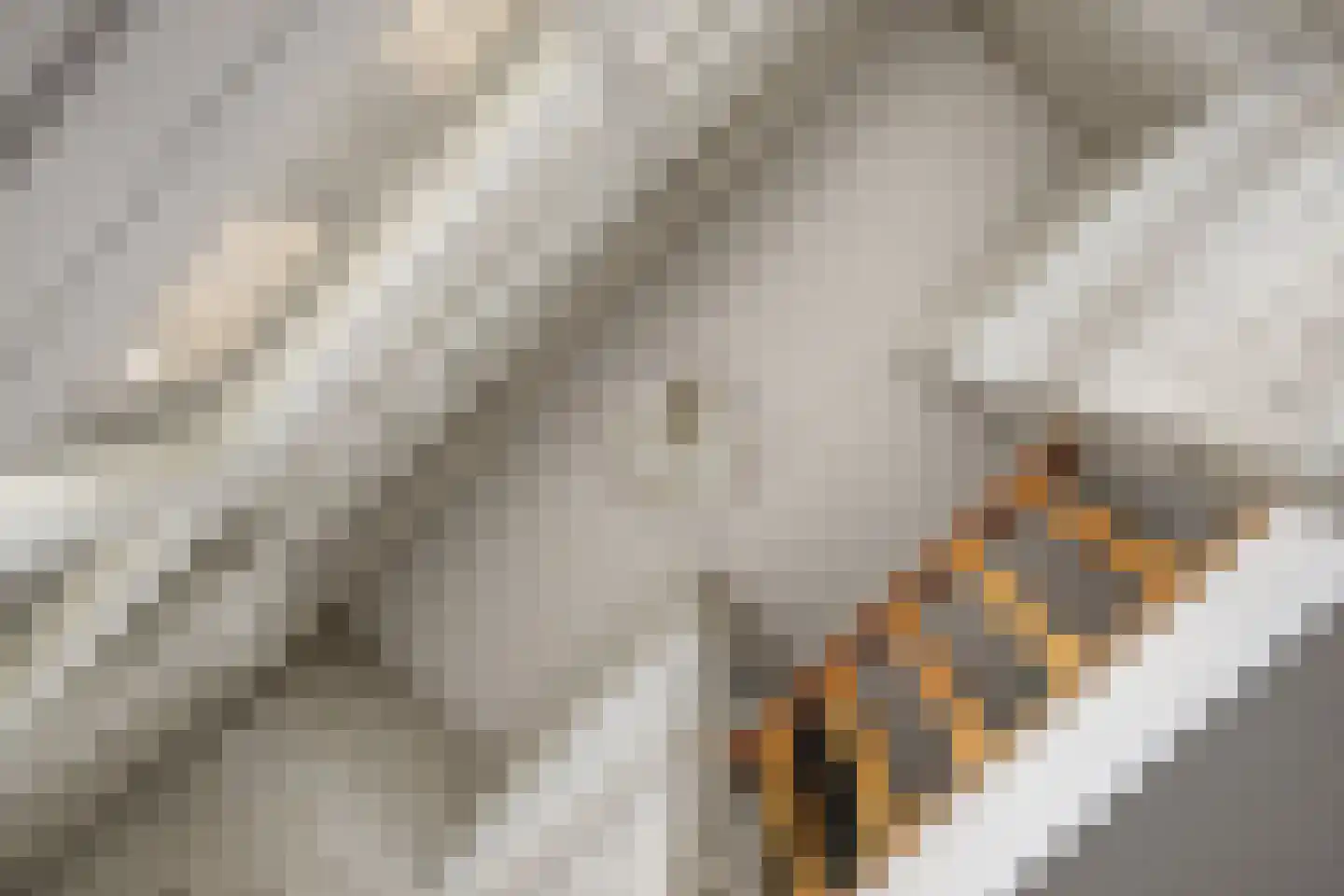 De Doelen 25 Boxtel thumbnail 19