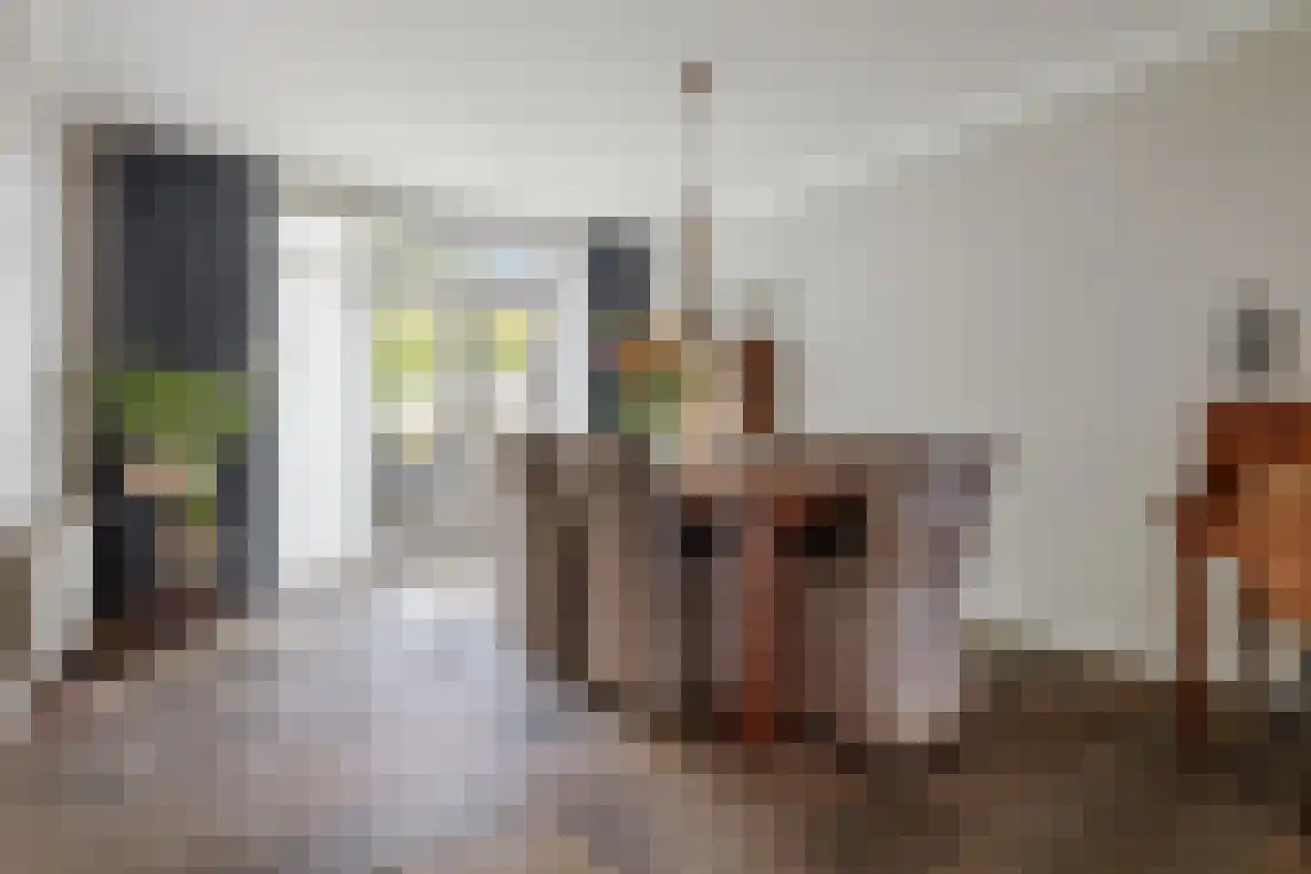 De Doelen 25 Boxtel thumbnail 22