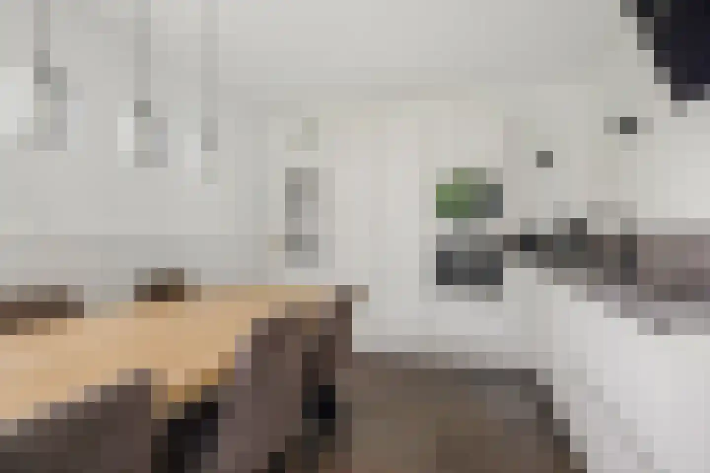 De Doelen 25 Boxtel thumbnail 4