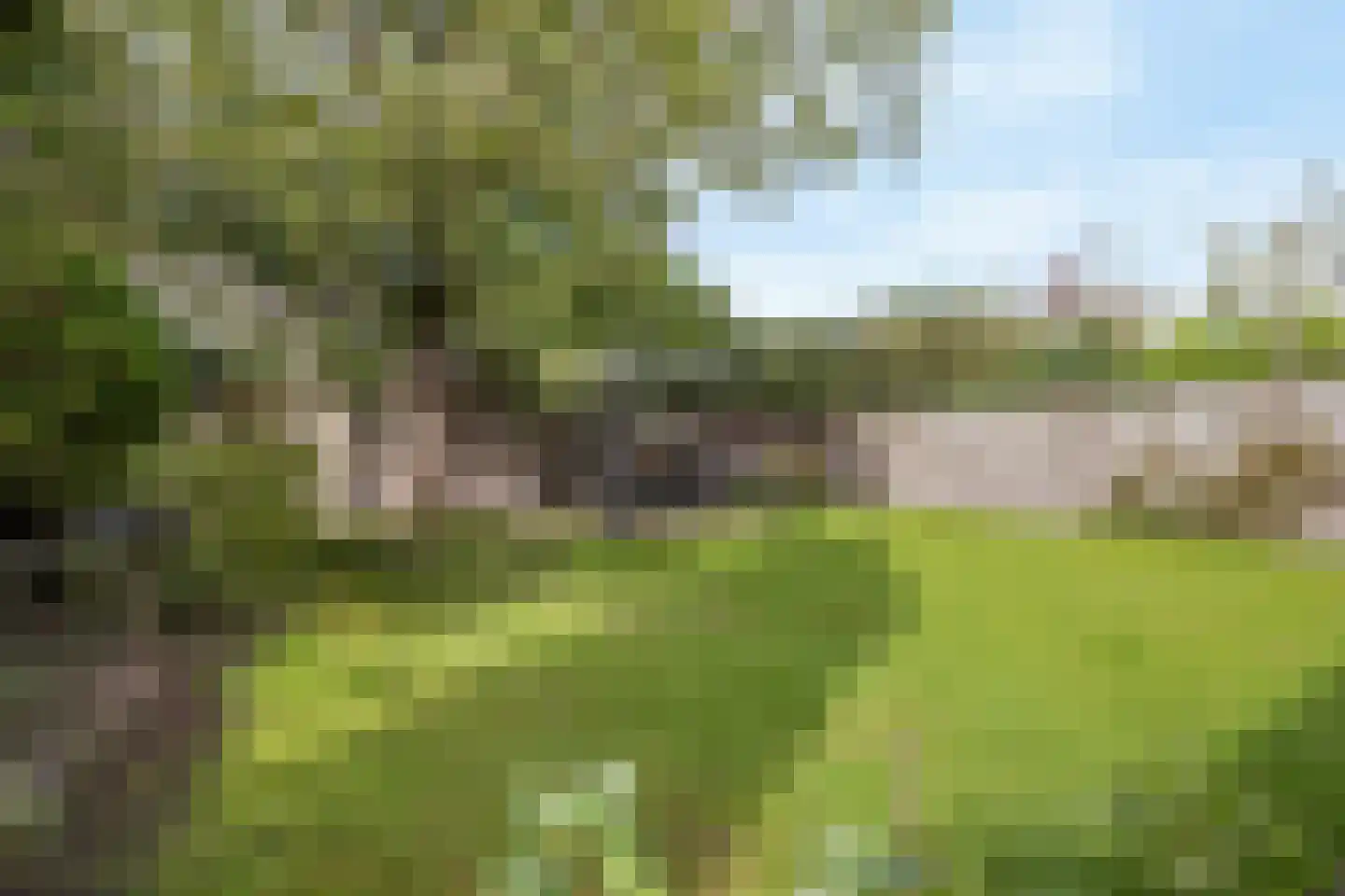 De Doelen 25 Boxtel thumbnail 52