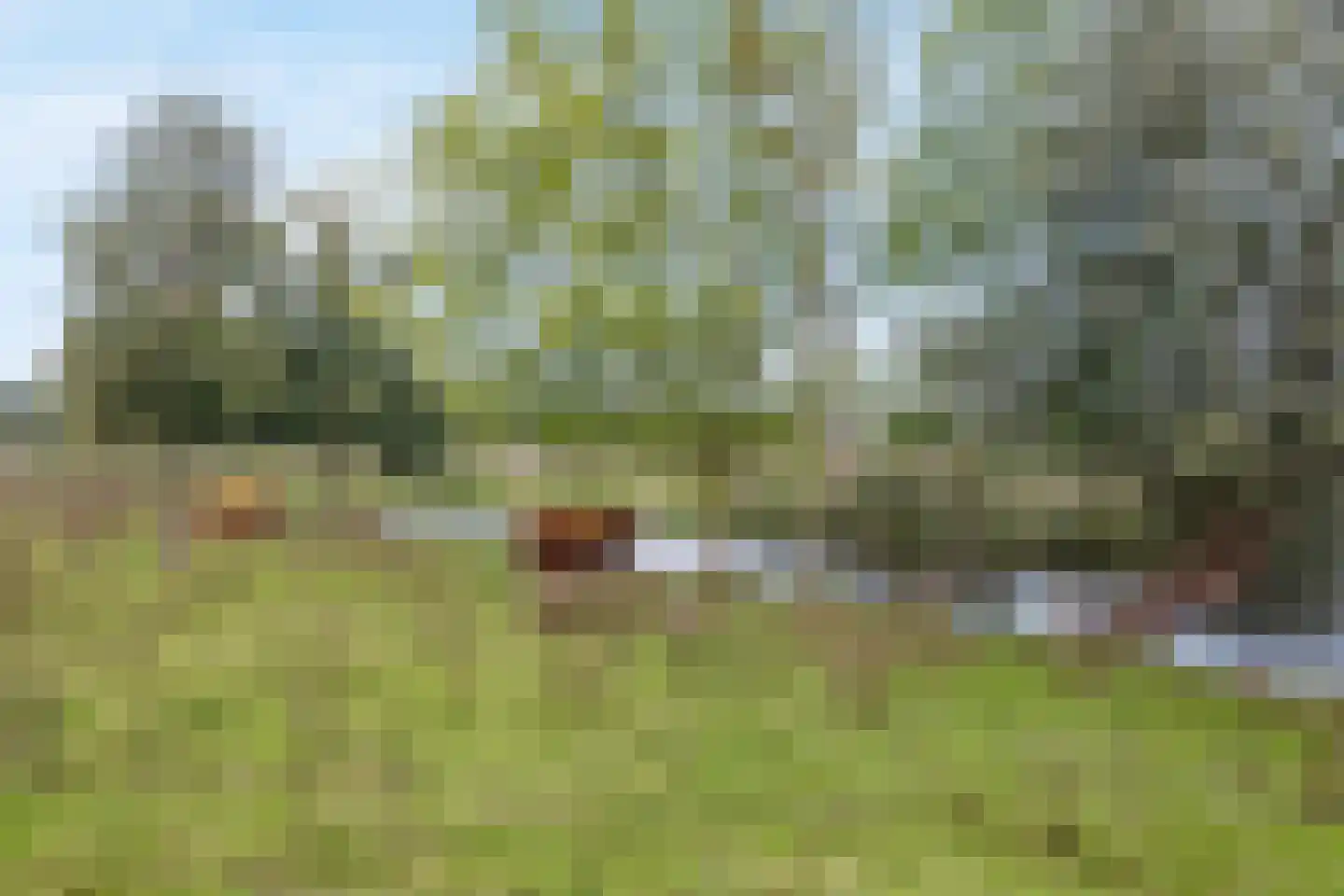 De Doelen 25 Boxtel thumbnail 59