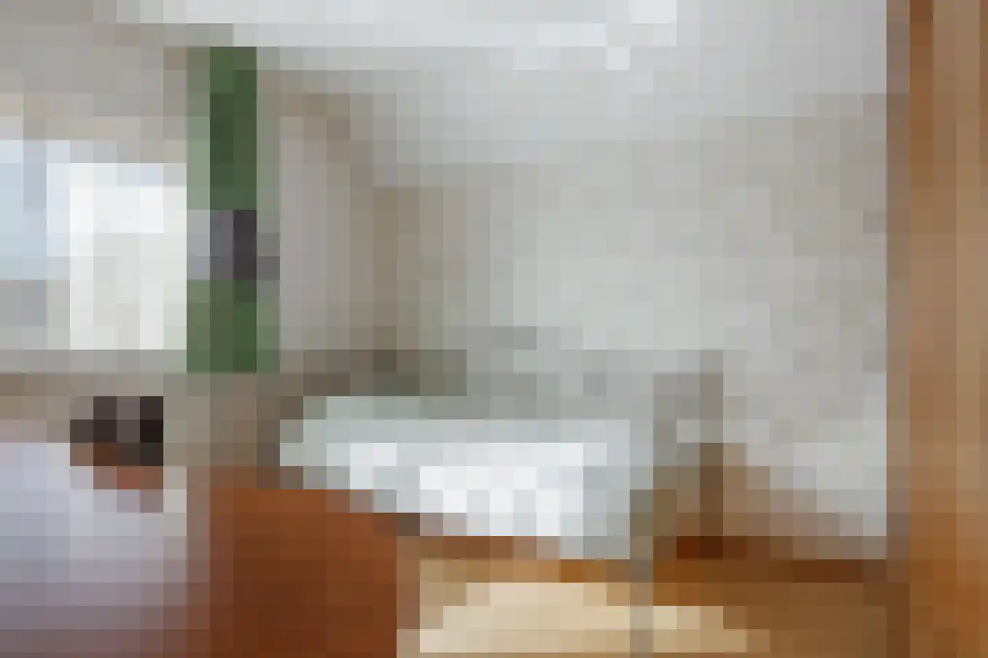 De Doelen 25 Boxtel thumbnail 6