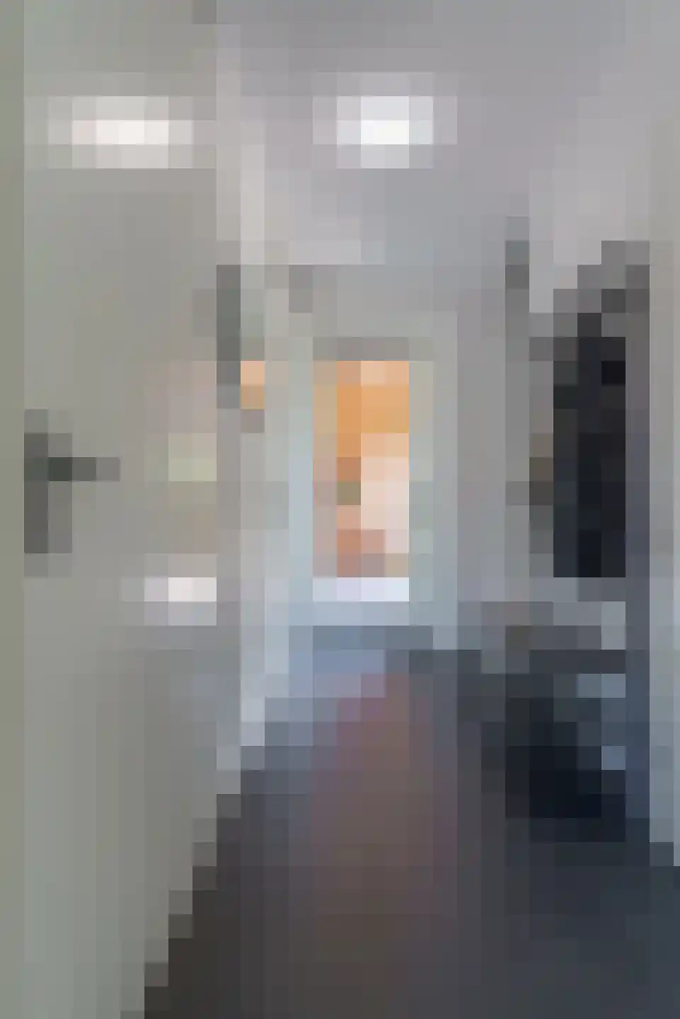 de Doelen 57 Geldrop thumbnail 15