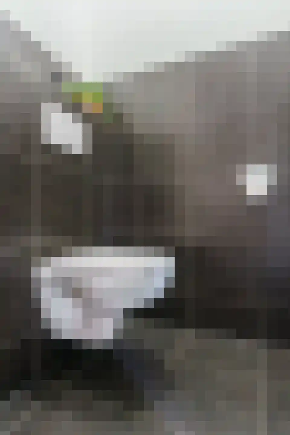de Doelen 57 Geldrop thumbnail 16