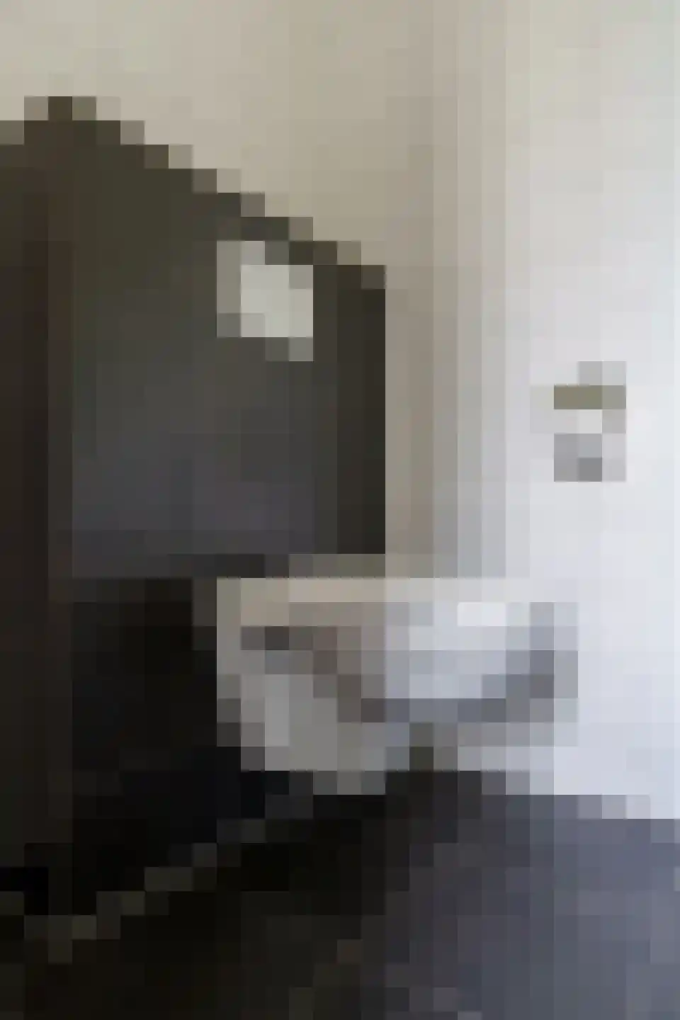 de Doelen 57 Geldrop thumbnail 32