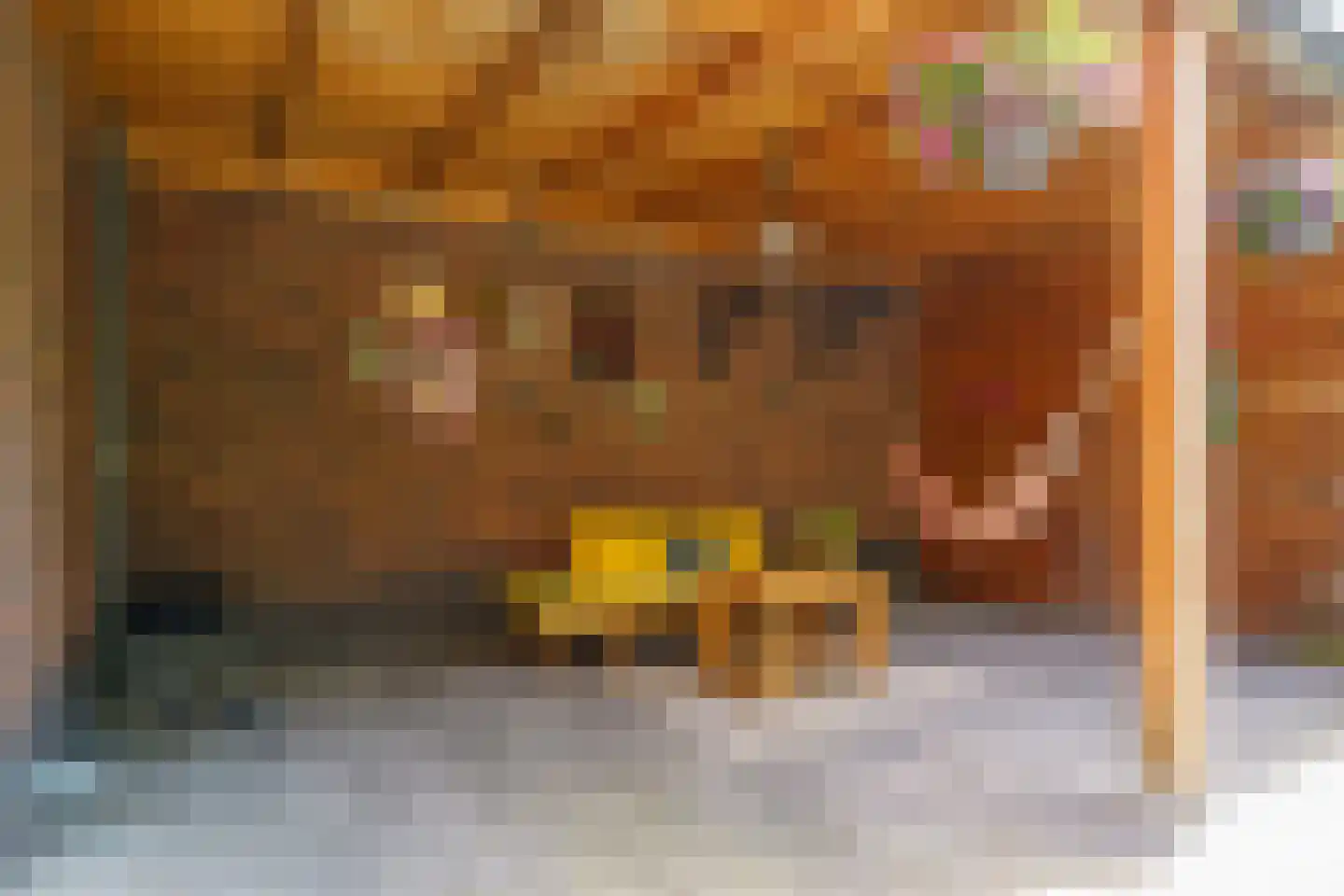 de Doelen 57 Geldrop thumbnail 33