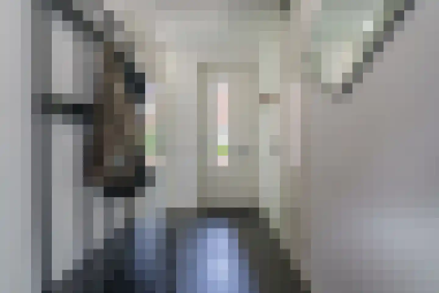 de Doelen 57 Geldrop thumbnail 4