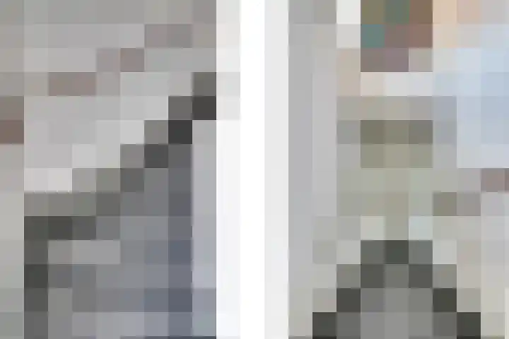 de Doelen 61 Geldrop thumbnail 22
