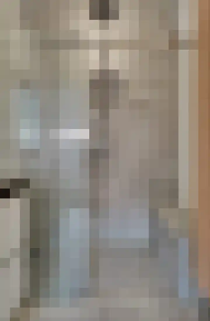 de Doelen 61 Geldrop thumbnail 30