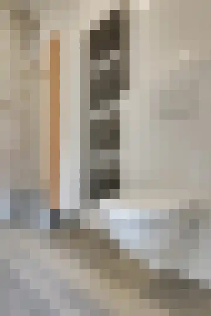 de Doelen 61 Geldrop thumbnail 31