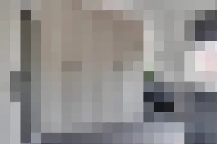de Doelen 61 Geldrop thumbnail 32