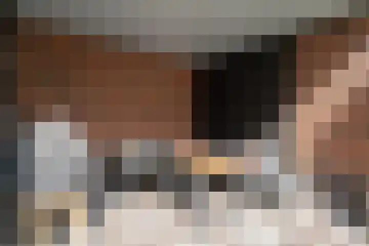 de Doelen 61 Geldrop thumbnail 41