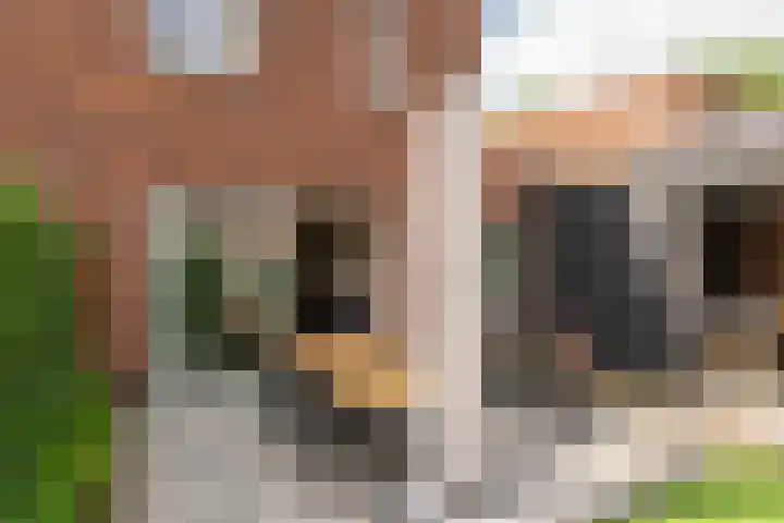 de Doelen 61 Geldrop thumbnail 46