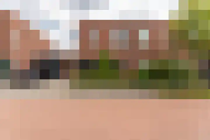de Doelen 61 Geldrop thumbnail 49