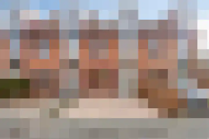 De Does 4 Pijnacker
