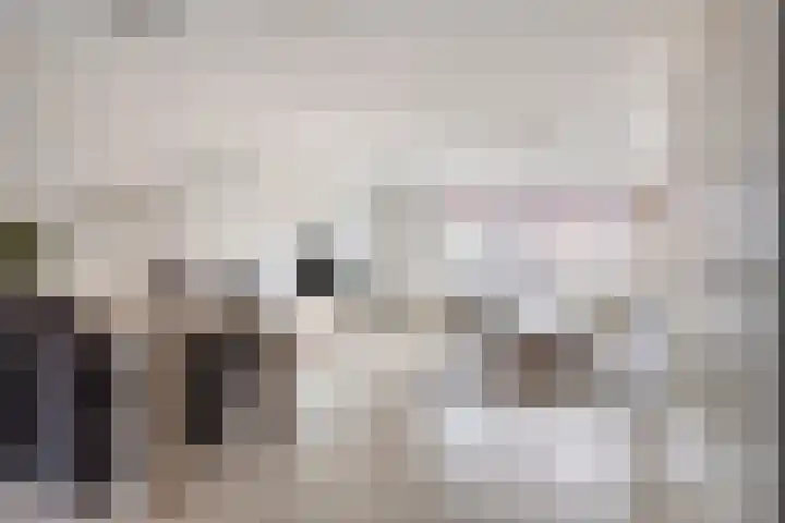 De Does 4 Pijnacker thumbnail 10