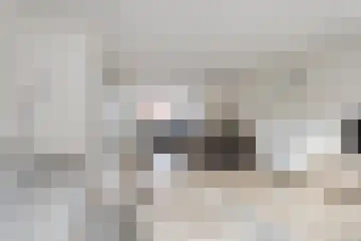 De Does 4 Pijnacker thumbnail 13