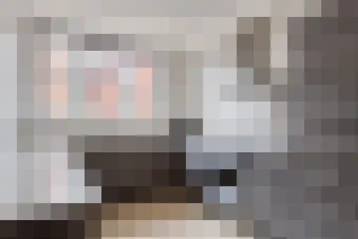 De Does 4 Pijnacker thumbnail 16