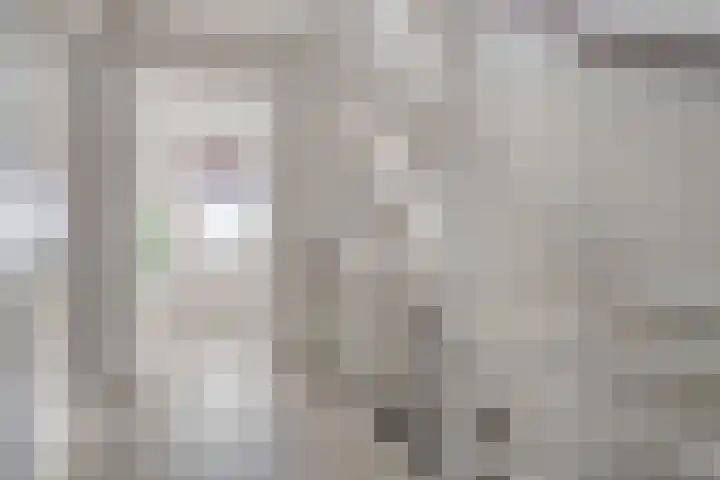 De Does 4 Pijnacker thumbnail 17