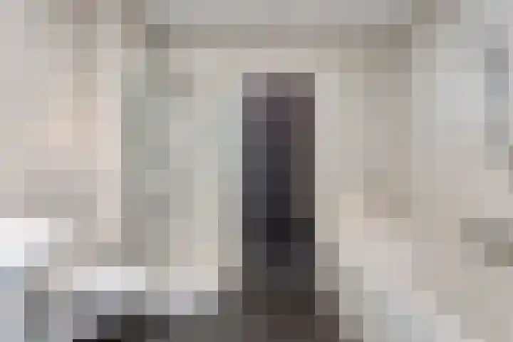 De Does 4 Pijnacker thumbnail 20