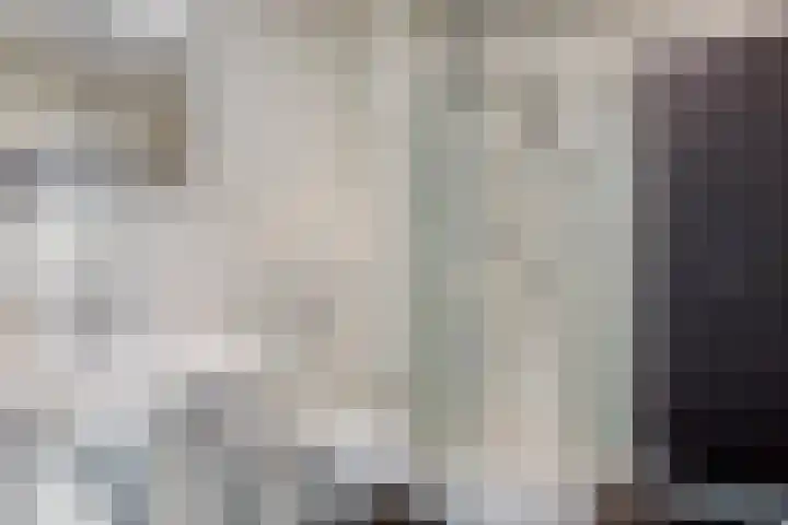 De Does 4 Pijnacker thumbnail 21
