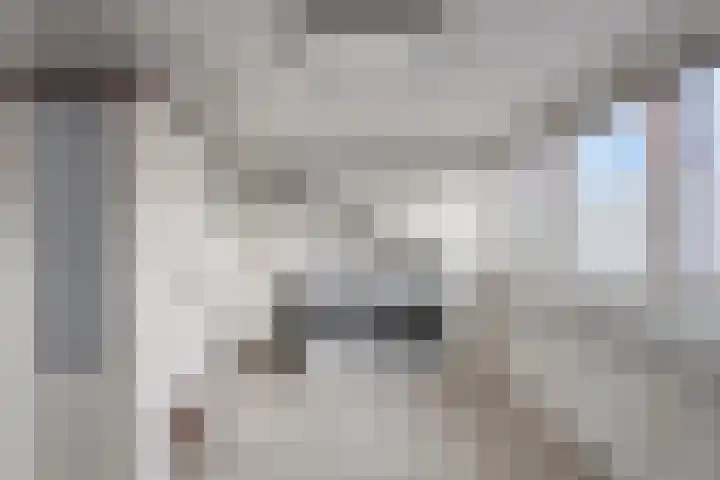 De Does 4 Pijnacker thumbnail 27