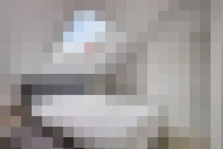 De Does 4 Pijnacker thumbnail 29
