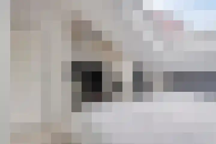 De Does 4 Pijnacker thumbnail 30