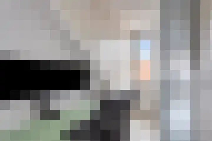 De Does 4 Pijnacker thumbnail 31