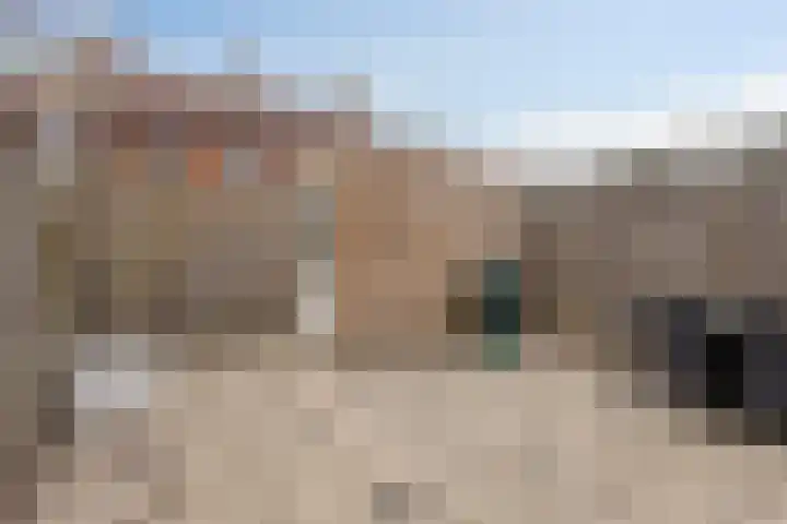 De Does 4 Pijnacker thumbnail 32
