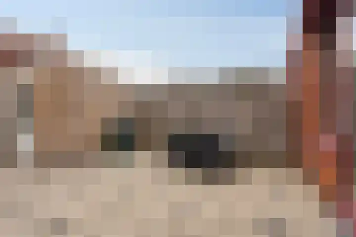 De Does 4 Pijnacker thumbnail 33