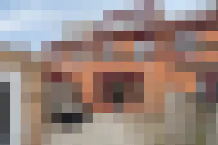 De Does 4 Pijnacker thumbnail 34