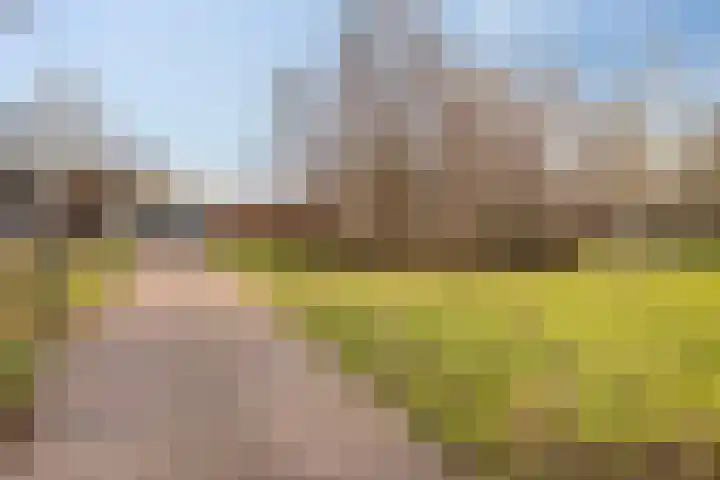 De Does 4 Pijnacker thumbnail 36